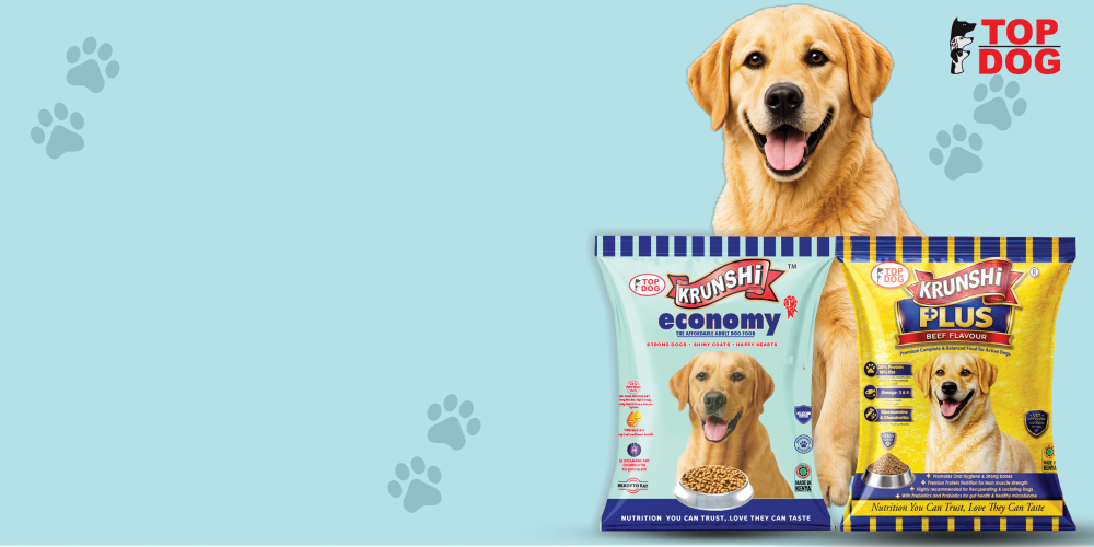 Dog Nutrition Kenya