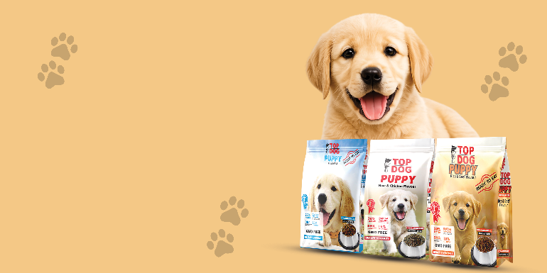 Dog Nutrition Kenya