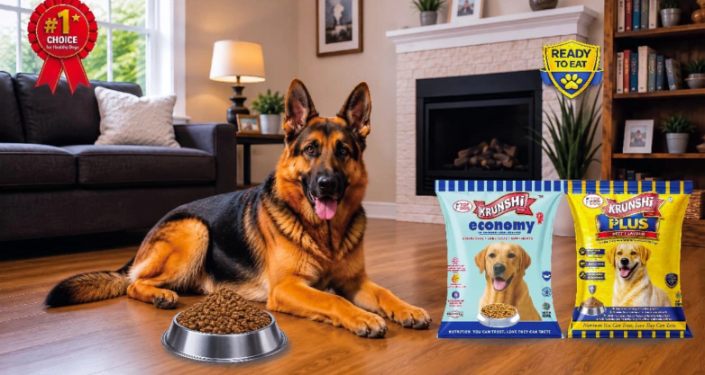 Best Dog Food in Kenya